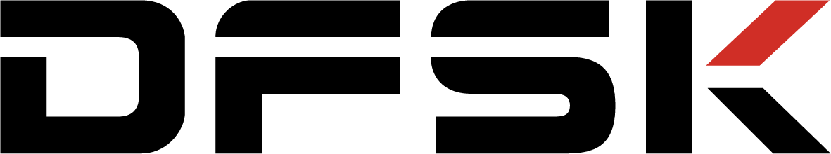 Dfsk